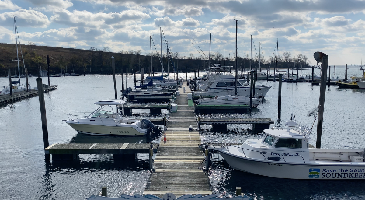 Grading the Long Island Sound’s Waters in Southwest Connecticut
