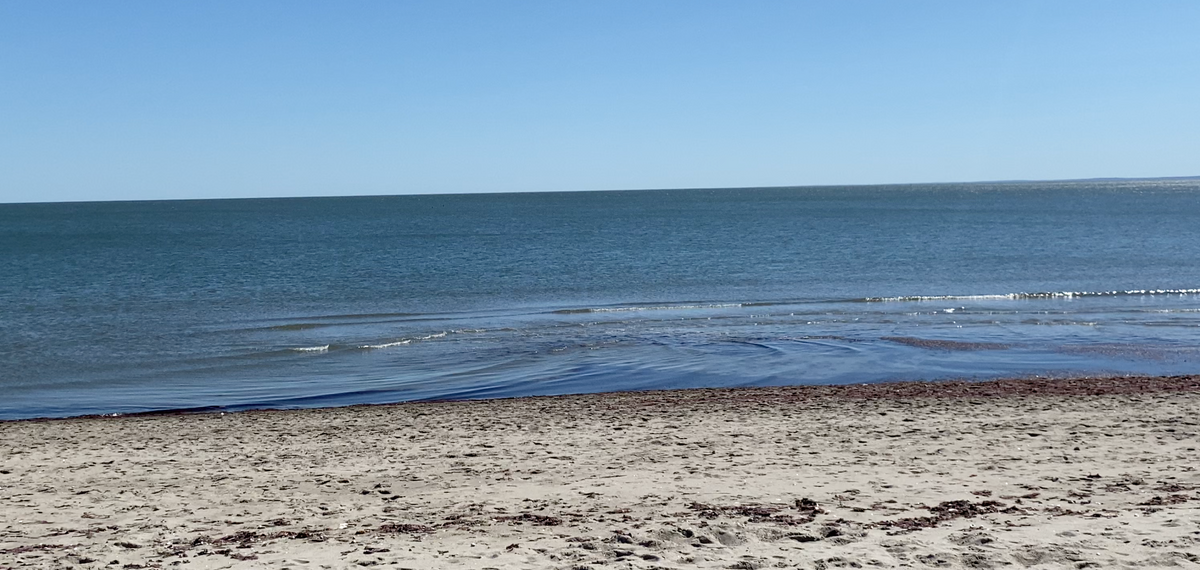 Save the Sound Beach Report Highlights Water Quality in the Sound